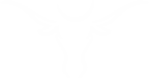 Texas Logo